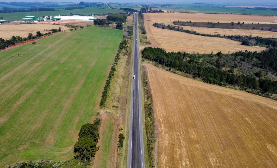 Lote 1 da nova concessão vai a leilão nesta sexta; entenda como será a disputa. Ipiranga Foto: Roberto Dziura Jr/AEN