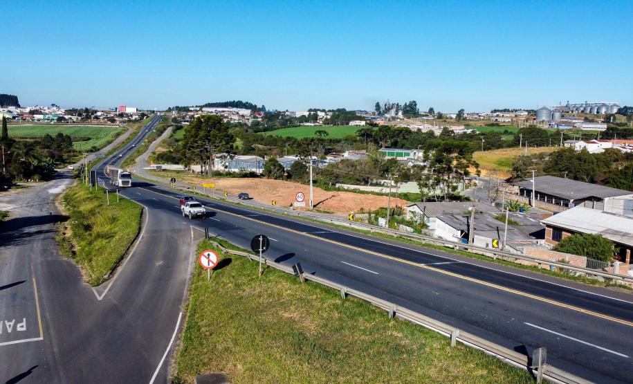 Lote 1 da nova concessão vai a leilão nesta sexta; entenda como será a disputa. Palmeira. Foto: Roberto Dziura Jr/AEN