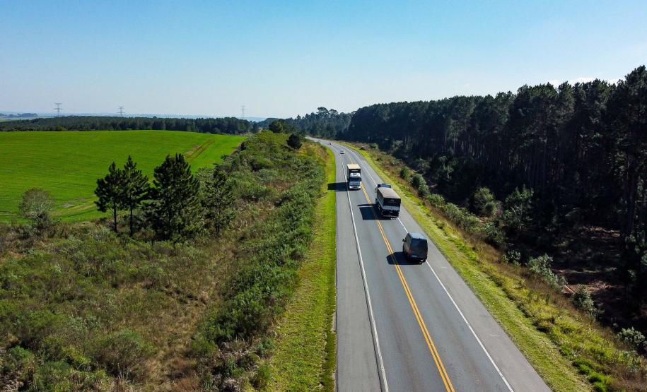 Lote 1 da nova concessão vai a leilão nesta sexta; entenda como será a disputa. Palmeira Foto: Roberto Dziura Jr/AEN