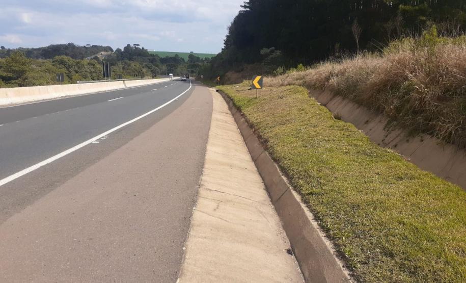 Governo lança edital de R$ 768,3 milhões para conservação de 11 mil km da faixa de domínio Foto: DER-PR