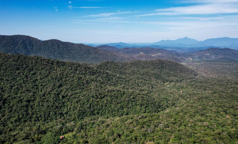 Estado lança edital para mapear áreas de risco da Estrada da Graciosa, no Litoral Foto: Rodrigo Félix Leal / SEIL