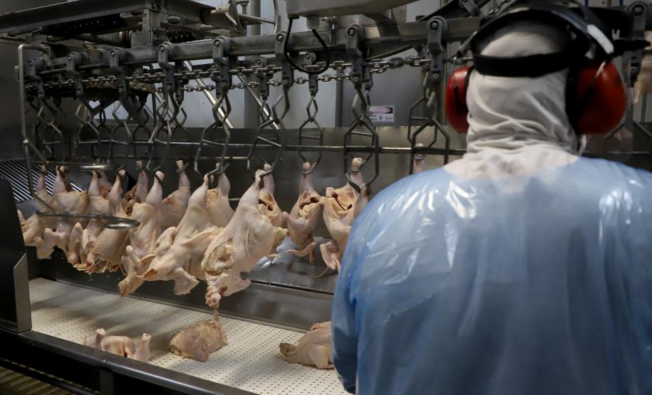 Exportações paranaenses crescem 13,7% em 2023, melhor desempenho do Sul e Sudeste. Foto: Ari Dias/AEN