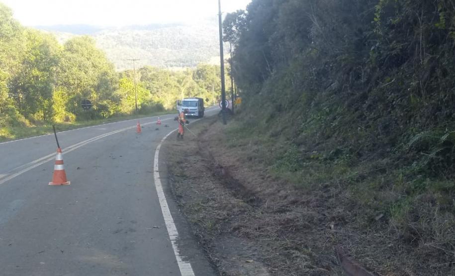 PR-170 Pinhão roçada