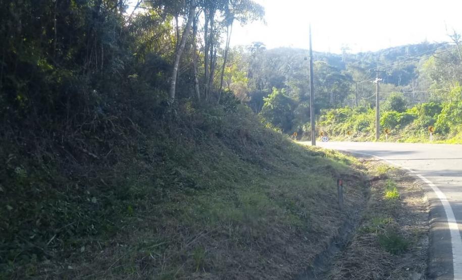 PR-170 Pinhão roçada