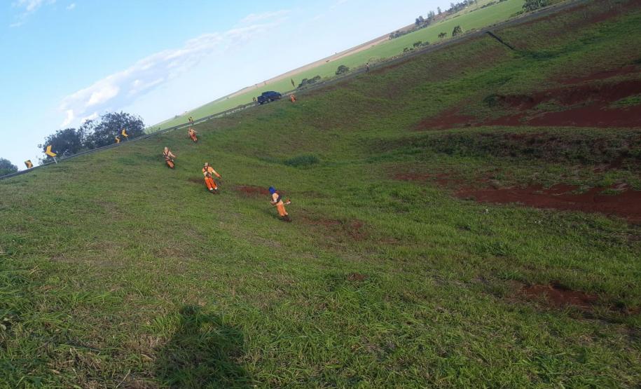 DER/PR lança edital inédito de pré-qualificação para novo programa de conservação