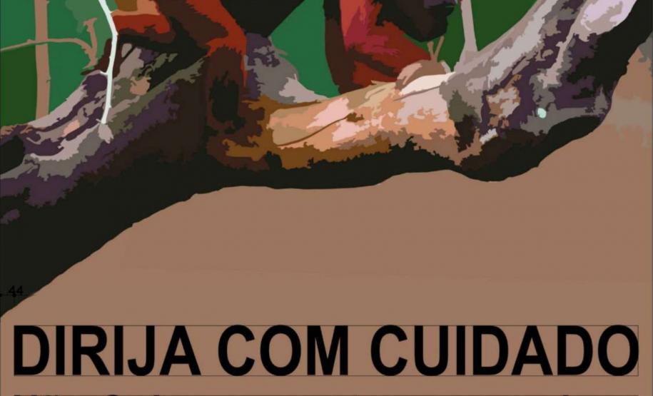 DER-PR homologa licitação para nova sinalização rodoviária no Parque Nacional Ilha Grande