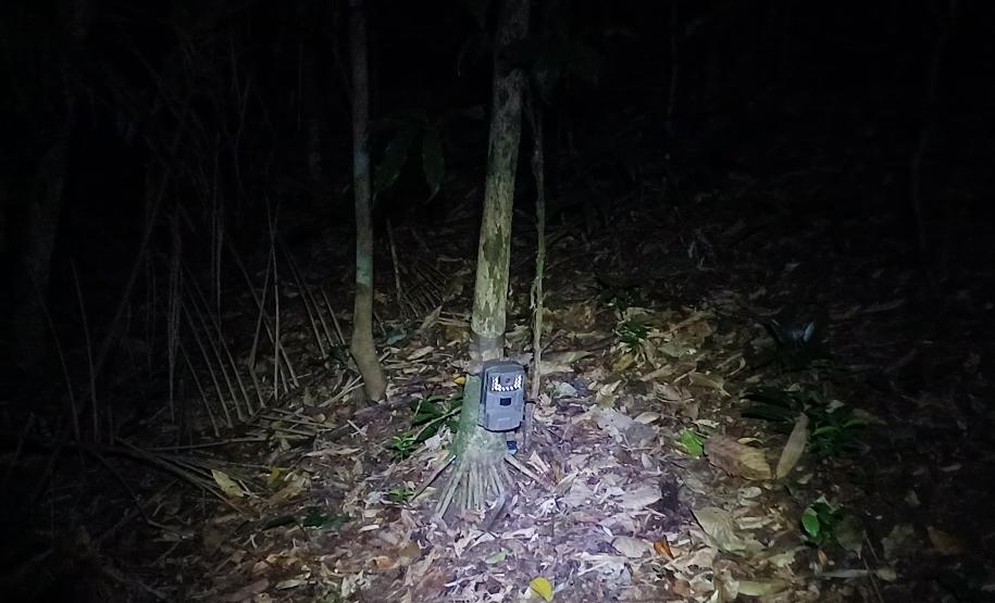 Câmera trap para monitoramento de mamíferos de médio e grande porte