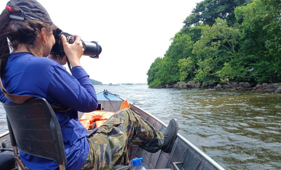 Programa ambiental Ponte de Guaratuba