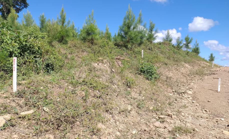 marcação Doutor Ulysses