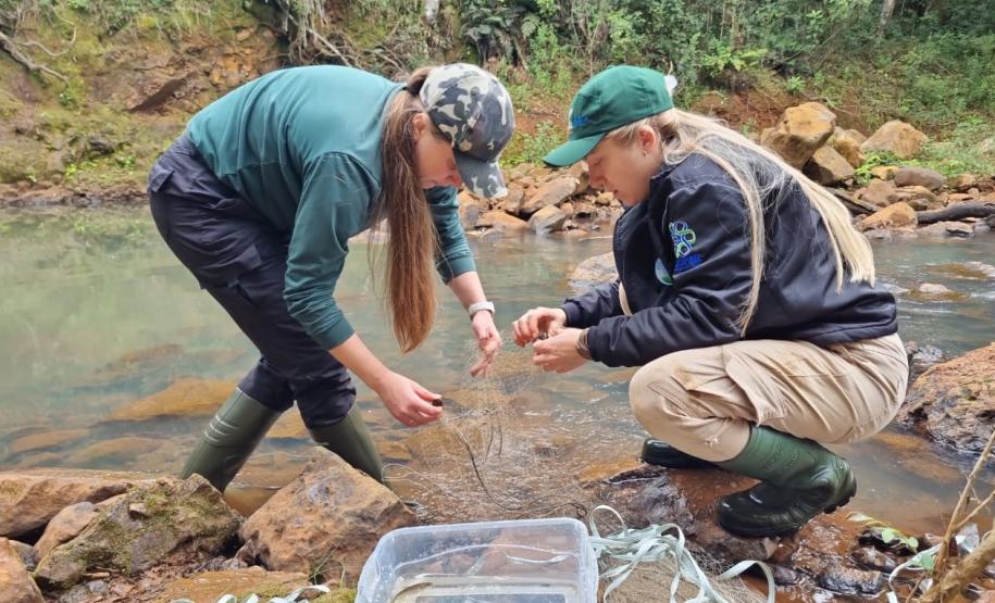 atividades dos programas ambientais
