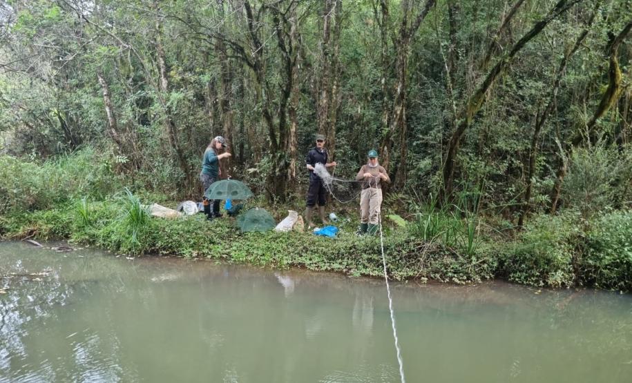 atividades dos programas ambientais