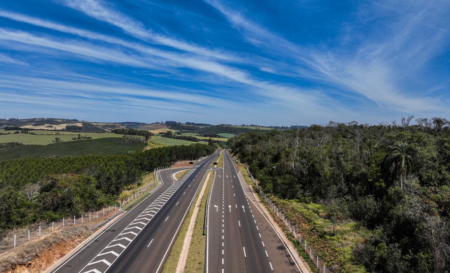 Duplicação da PR-445