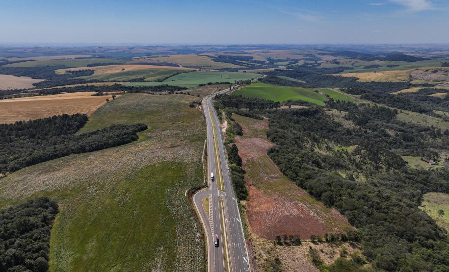 Duplicação da PR-445