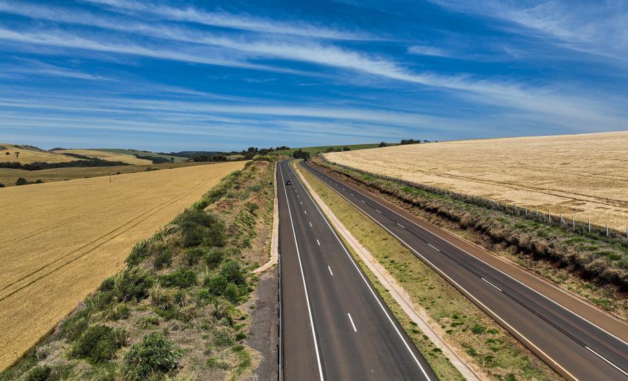 Duplicação da PR-445