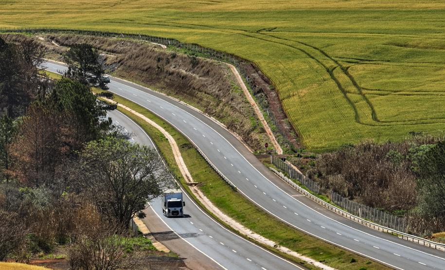 Duplicação da PR-445