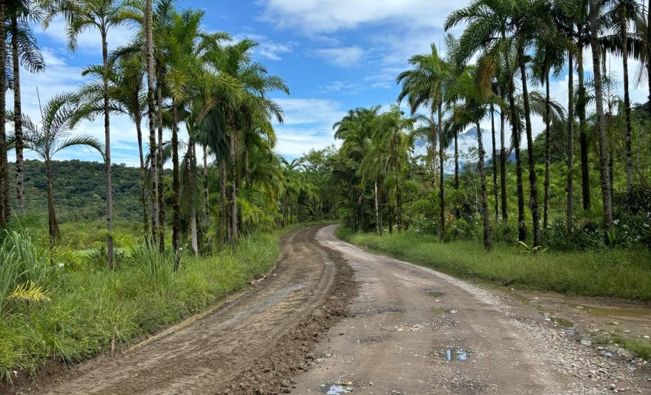 DER/PR contrata estudos ambientais e anteprojeto da pavimentação da Estrada de Guaraqueçaba