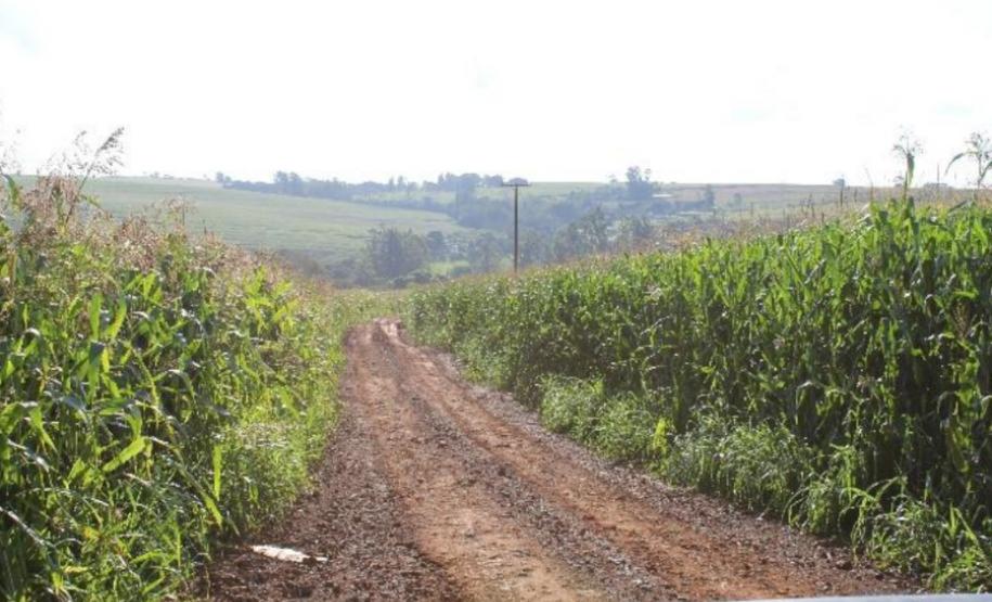 Janiópolis e o Estado vão pavimentar estrada e construir nova ponte