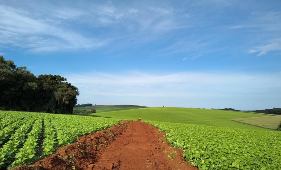 DER/PR começa serviços iniciais do novo contorno de Pato Branco, na região Sudoeste
