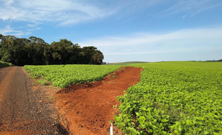 DER/PR começa serviços iniciais do novo contorno de Pato Branco, na região Sudoeste