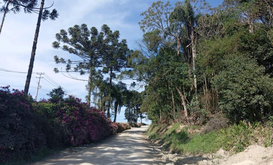 Estado e Mallet vão pavimentar quatro vias municipais com aporte de R$ 12,3 milhões