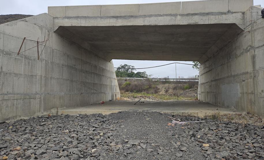 Obra de pavimentação da PR-364 em Irati é retomada após conclusão de estudo sobre fósseis