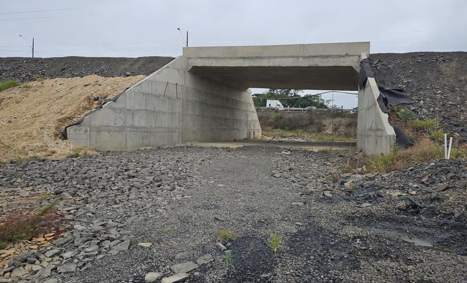 Obra de pavimentação da PR-364 em Irati é retomada após conclusão de estudo sobre fósseis