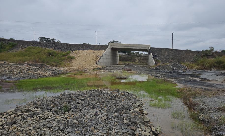 Obra de pavimentação da PR-364 em Irati é retomada após conclusão de estudo sobre fósseis