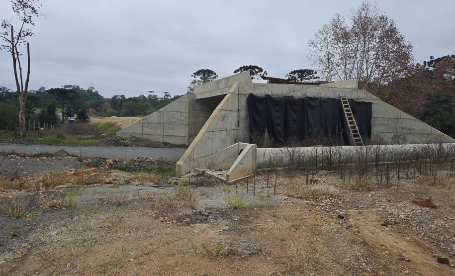 Obra de pavimentação da PR-364 em Irati é retomada após conclusão de estudo sobre fósseis